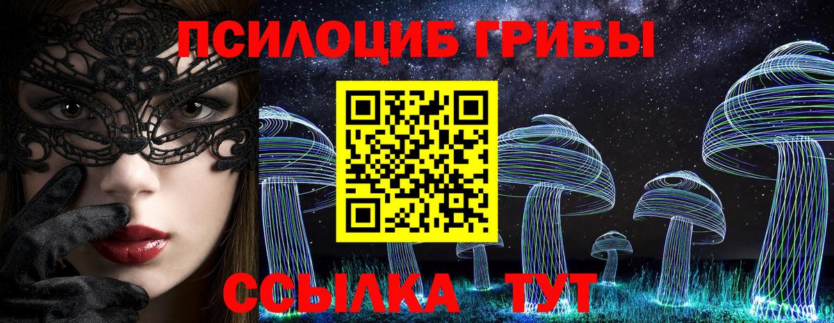 Псилоцибиновые грибы ЛСД Алейск
