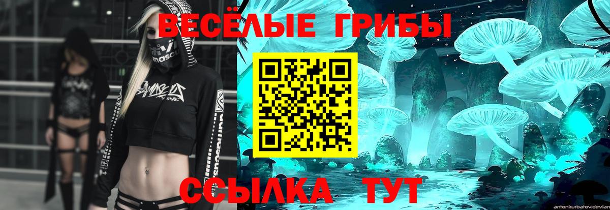 Алейск  Псилоцибиновые грибы Psilocybe  Вход с VPN  Псилоцибиновые грибы мухоморы 